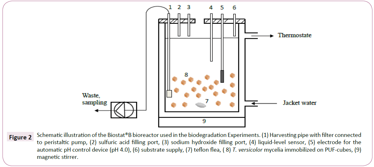 green-chemistry-Schematic-illustration