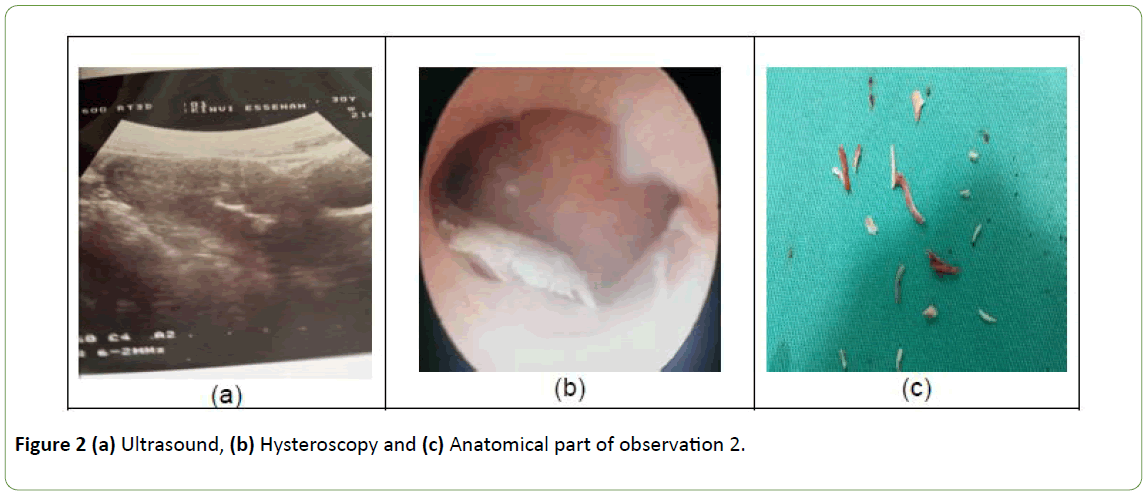 gynecology-obstetrics-Anatomical-part