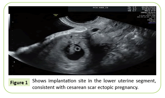 gynecology-obstetrics-consistent