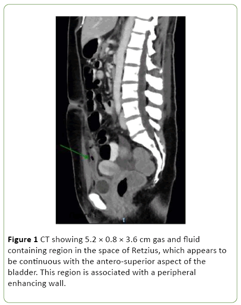 gynecology-obstetrics-containing-region