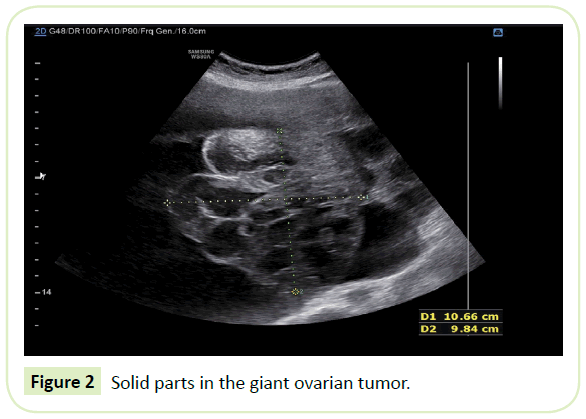 gynecology-obstetrics-giant