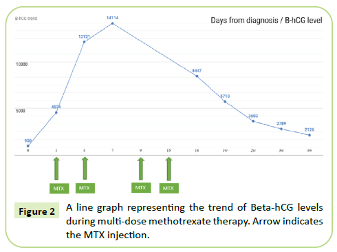 gynecology-obstetrics-line-graph