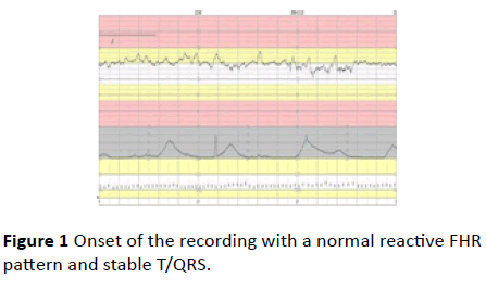 gynecology-obstetrics-pattern-stable