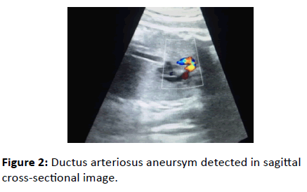 gynecology-obstetrics-sagittal-cross-sectional