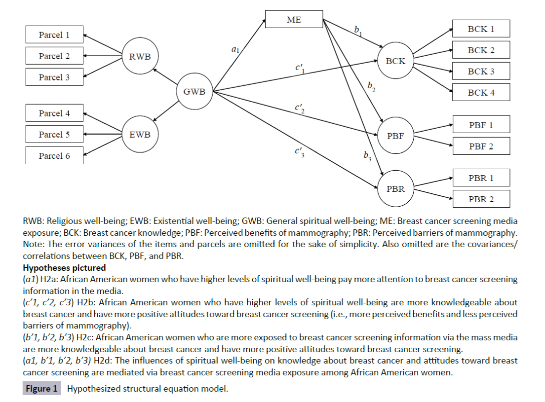 healthcare-communications-Hypothesized-structural-equation