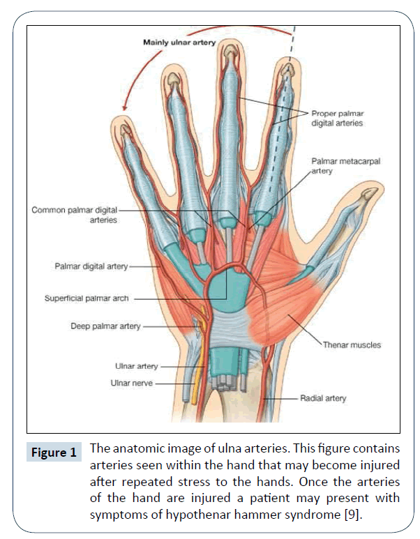 healthcare-communications-anatomic-image