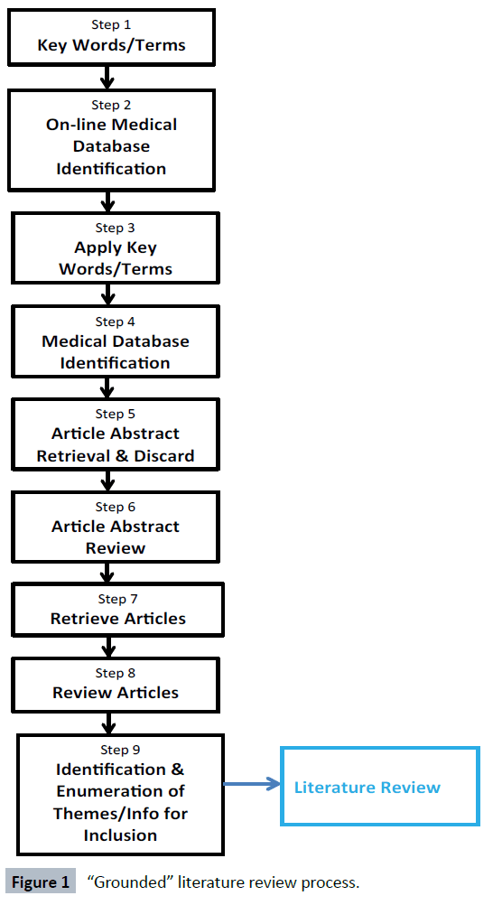 healthcare-communications-literature-review-process