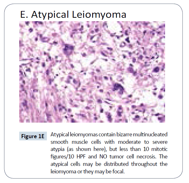 healthcare-communications-muscle-cells