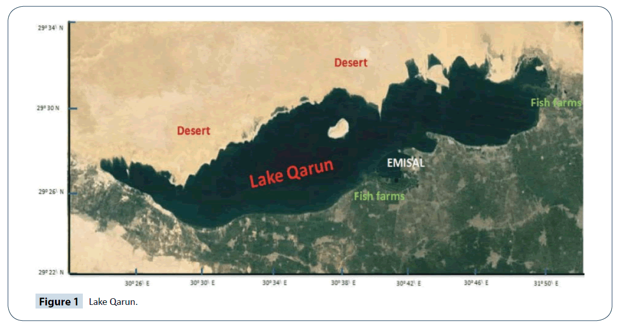 heavy-metal-toxicity-diseases-Lake-Qarun