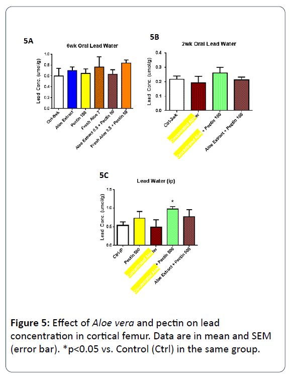 heavy-metal-toxicity-diseases-cortical-femur