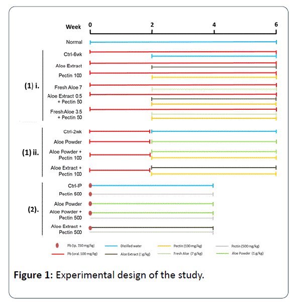 heavy-metal-toxicity-diseases-design-study