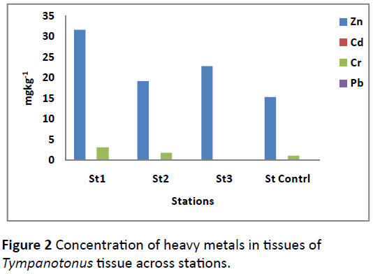 heavy-metal-toxicity-diseases-heavy-metals-tissues
