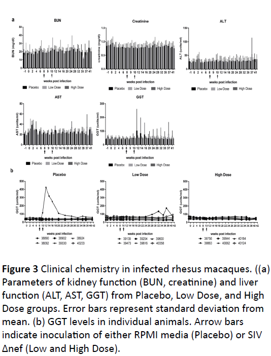 hiv-Arrow-bars