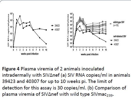 hiv-Arrow-bars