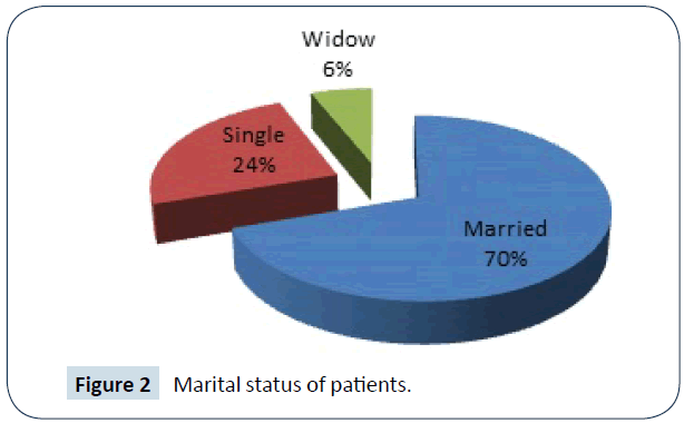 hiv-Marital-status