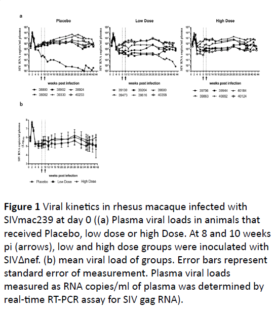 hiv-viral-loads