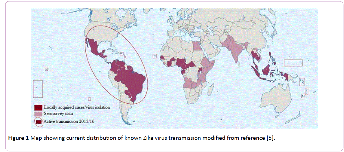 infectioncontrol-virus-transmission