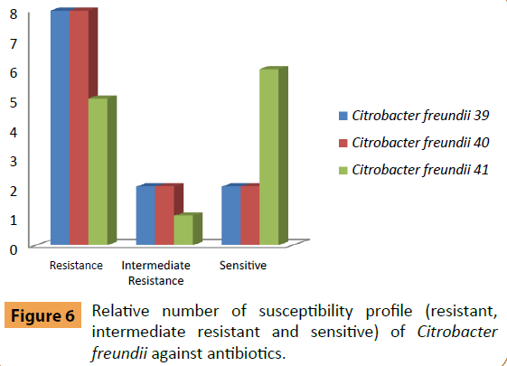 infectious-diseases-and-treatment-Citrobacter-freundii