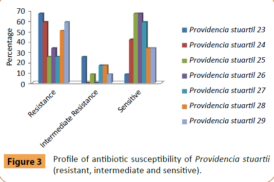 infectious-diseases-and-treatment-Providencia-stuartii