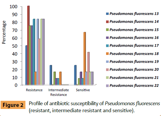 infectious-diseases-and-treatment-Pseudomonas-fluorescens