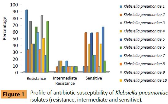 infectious-diseases-and-treatment-antibiotic-susceptibility