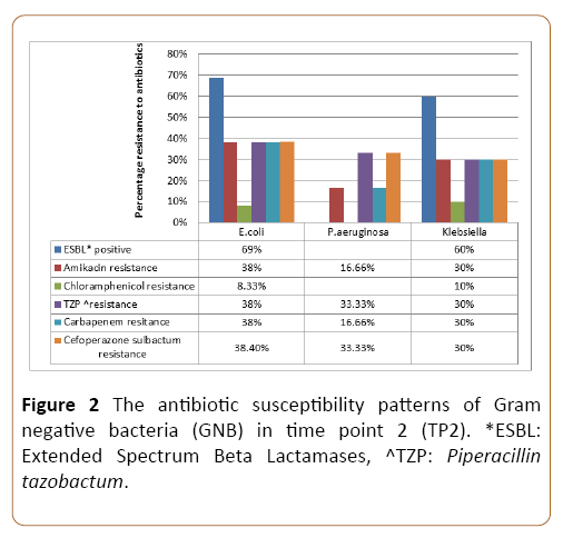 infectious-diseases-and-treatment-bacteria