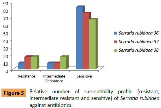 infectious-diseases-and-treatment-resistant-sensitive