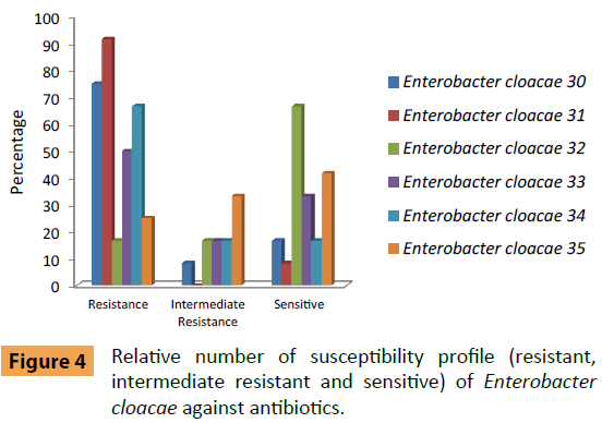 infectious-diseases-and-treatment-susceptibility-profile