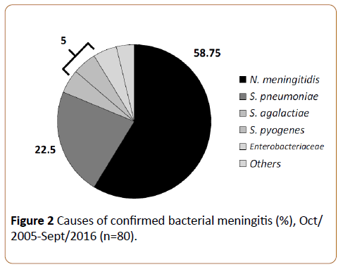 infectious-diseases-treatment-bacterial-meningitis