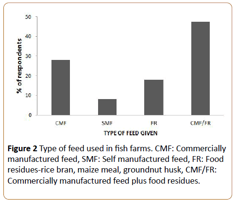 infectious-diseases-treatment-maize-meal