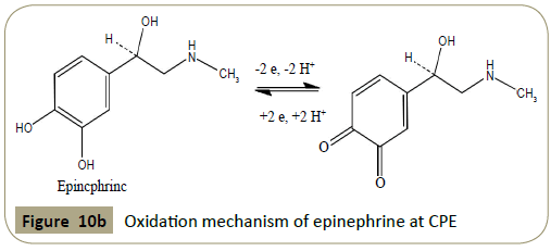 insights-analytical-electrochemistry-Oxidation-mechanism-epinephrine-CPE