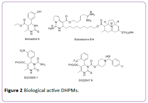 insights-in-pharma-research-Biological-active-DHPM