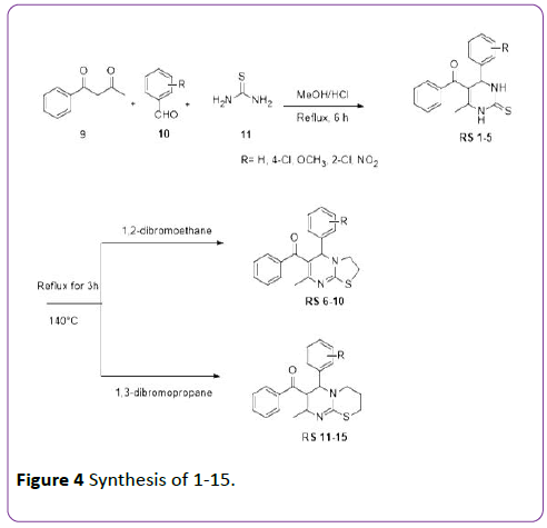 insights-in-pharma-research-Synthesis