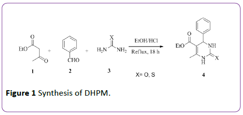 insights-in-pharma-research-Synthesis-DHPM