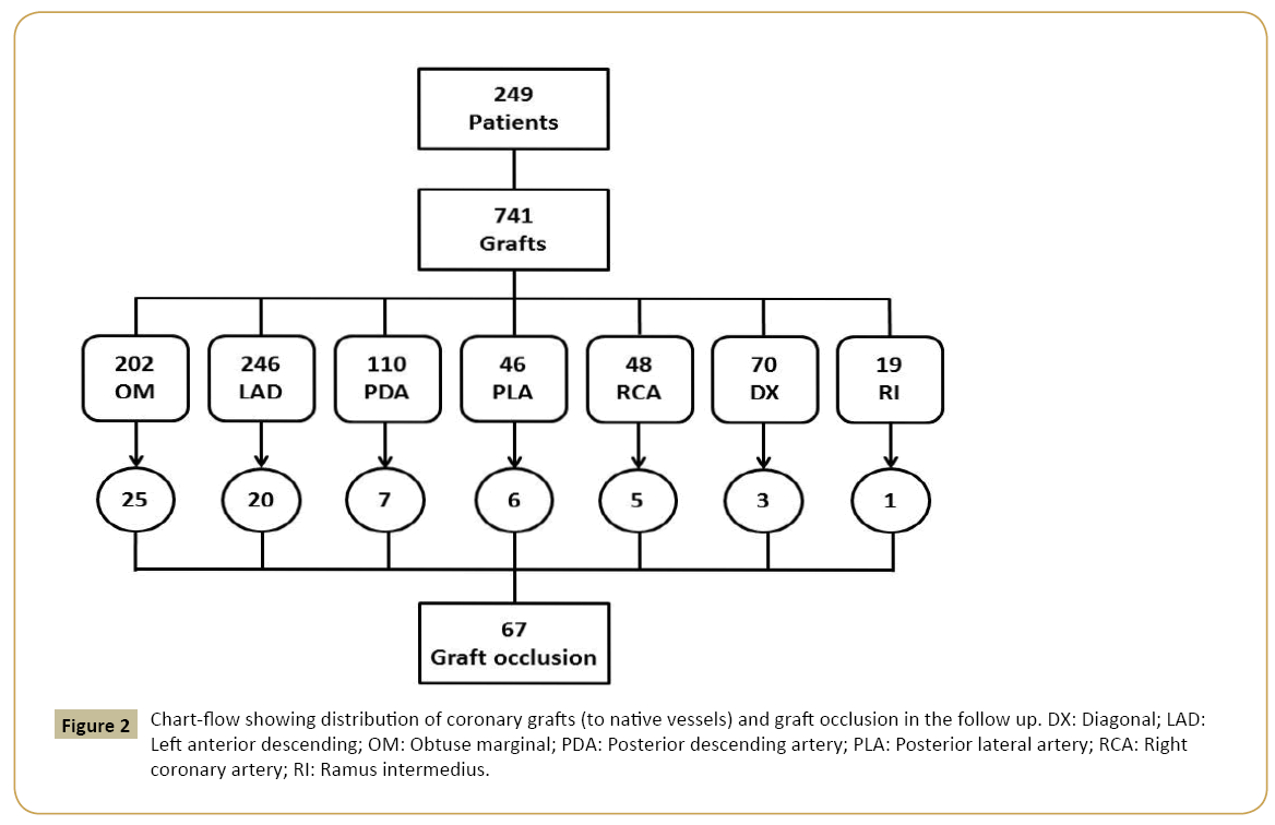 interventional-cardiology-Chart-flow