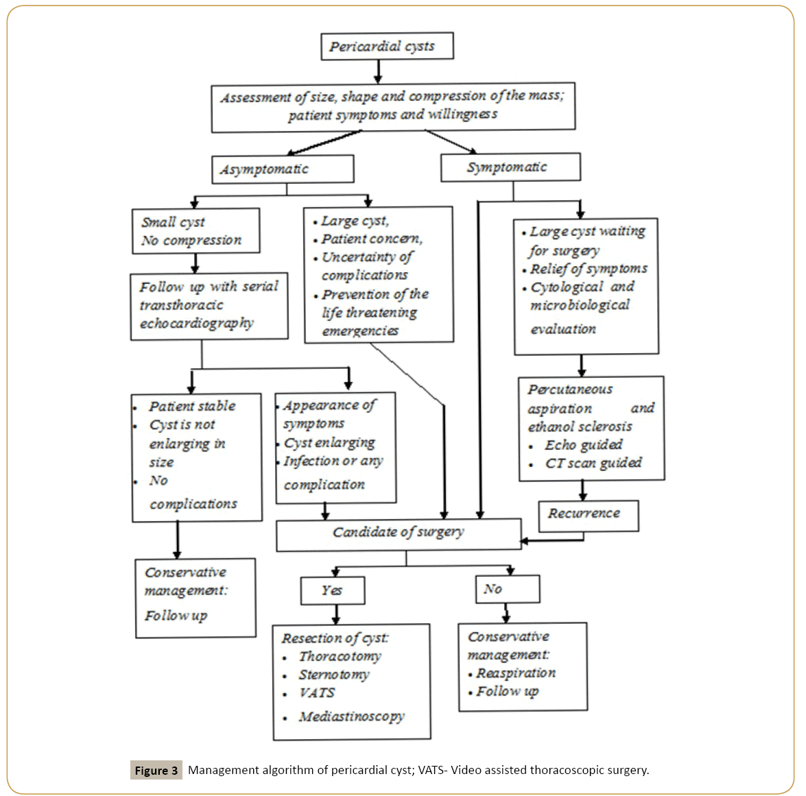 interventional-cardiology-Management-algorithm