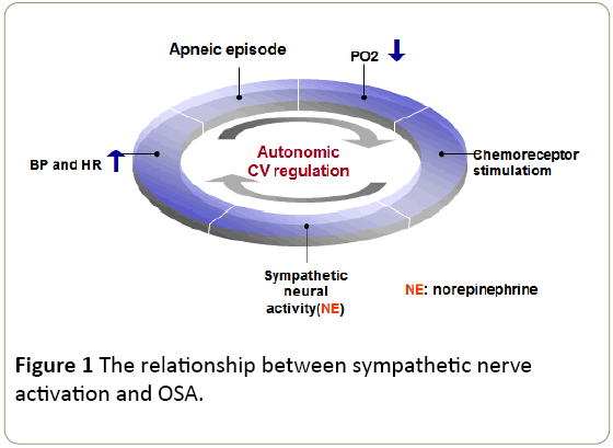 interventional-cardiology-relationship-sympathetic-nerve