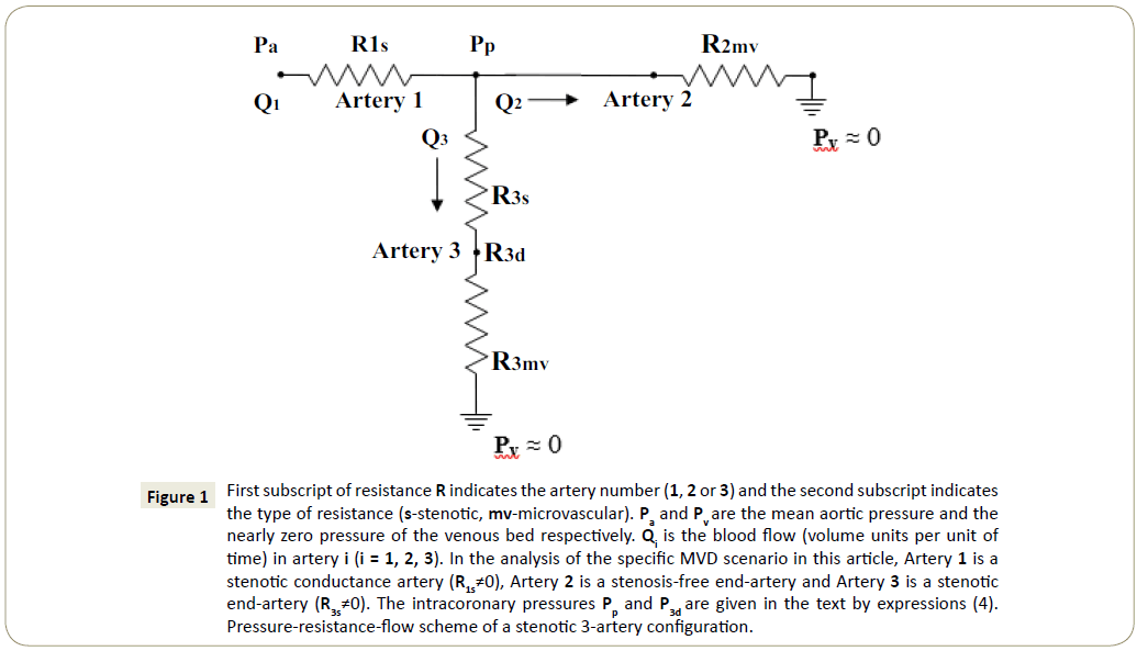 interventional-cardiology-subscript-resistance-artery