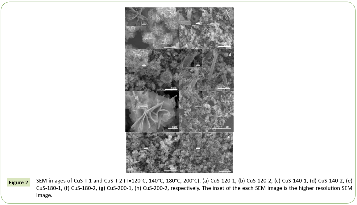 journal-nanoscience-nanotechnology-research-SEM-images