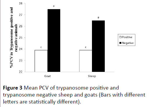 livestock-production-negative-sheep-goats