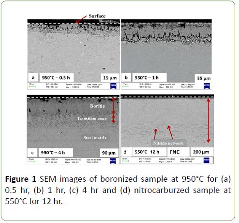 nanoscience-nanotechnology-boronized