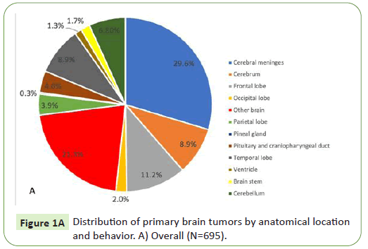 neurooncology-brain