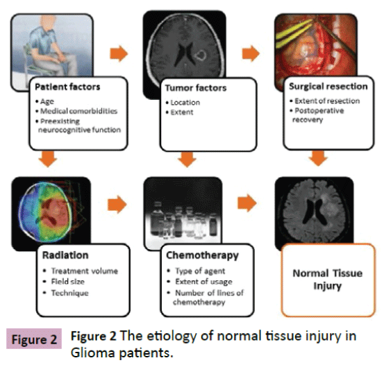 neurooncology-etiology-normal-tissue