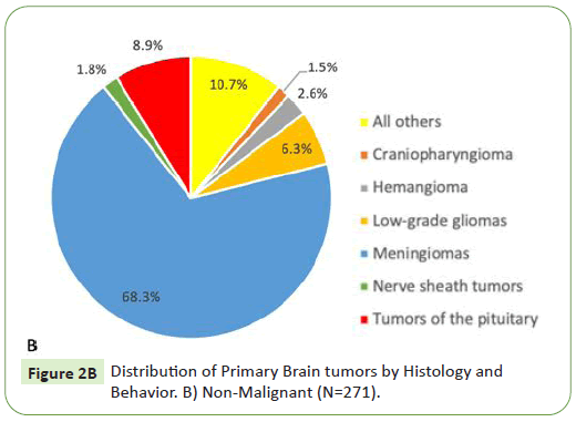 neurooncology-non