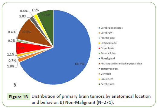 neurooncology-primary