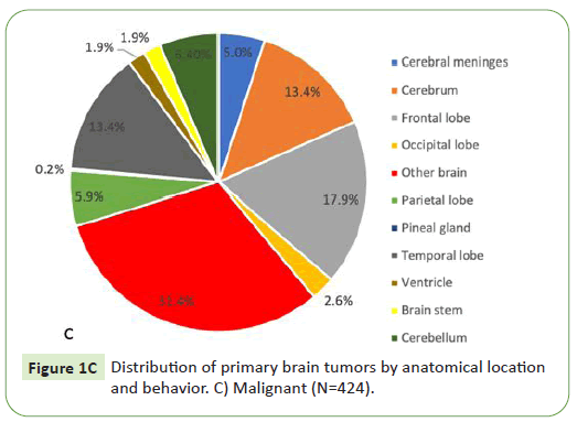 neurooncology-tumors