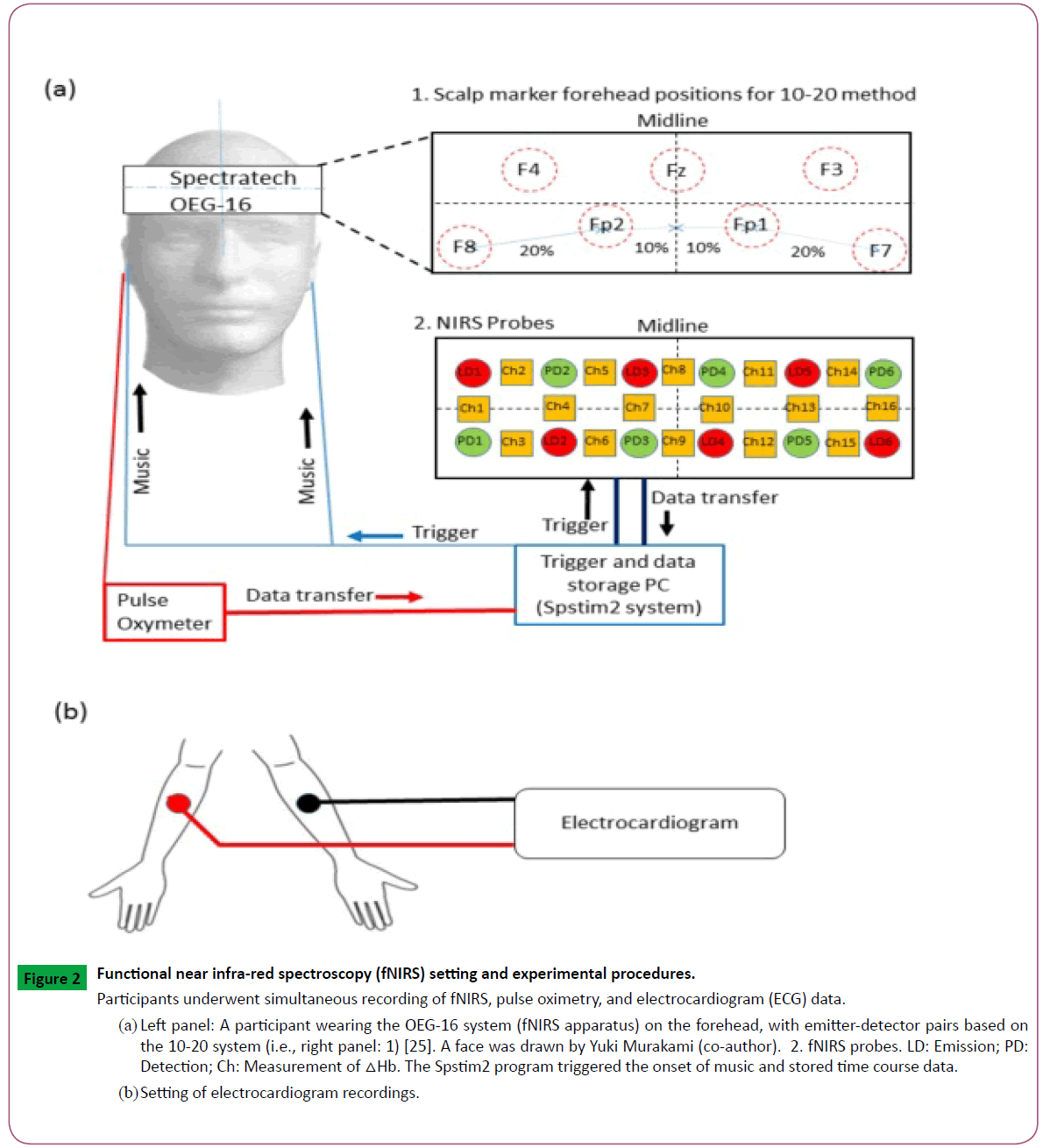 neurosciences-brain-experimental-procedures