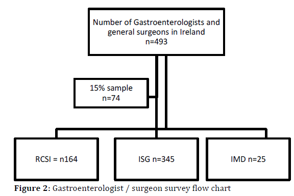 pancreas-Gastroenterologist