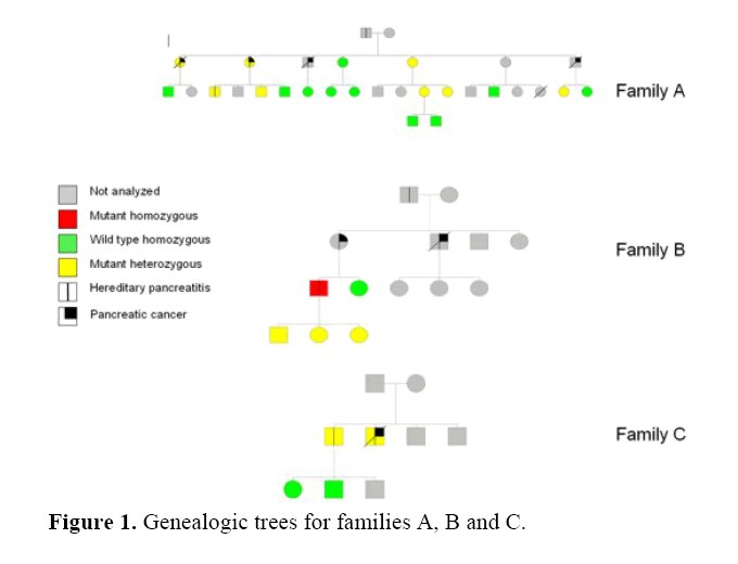 pancreas-Genealogic-trees