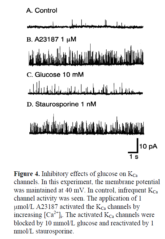 pancreas-Inhibitory-effects-glucose